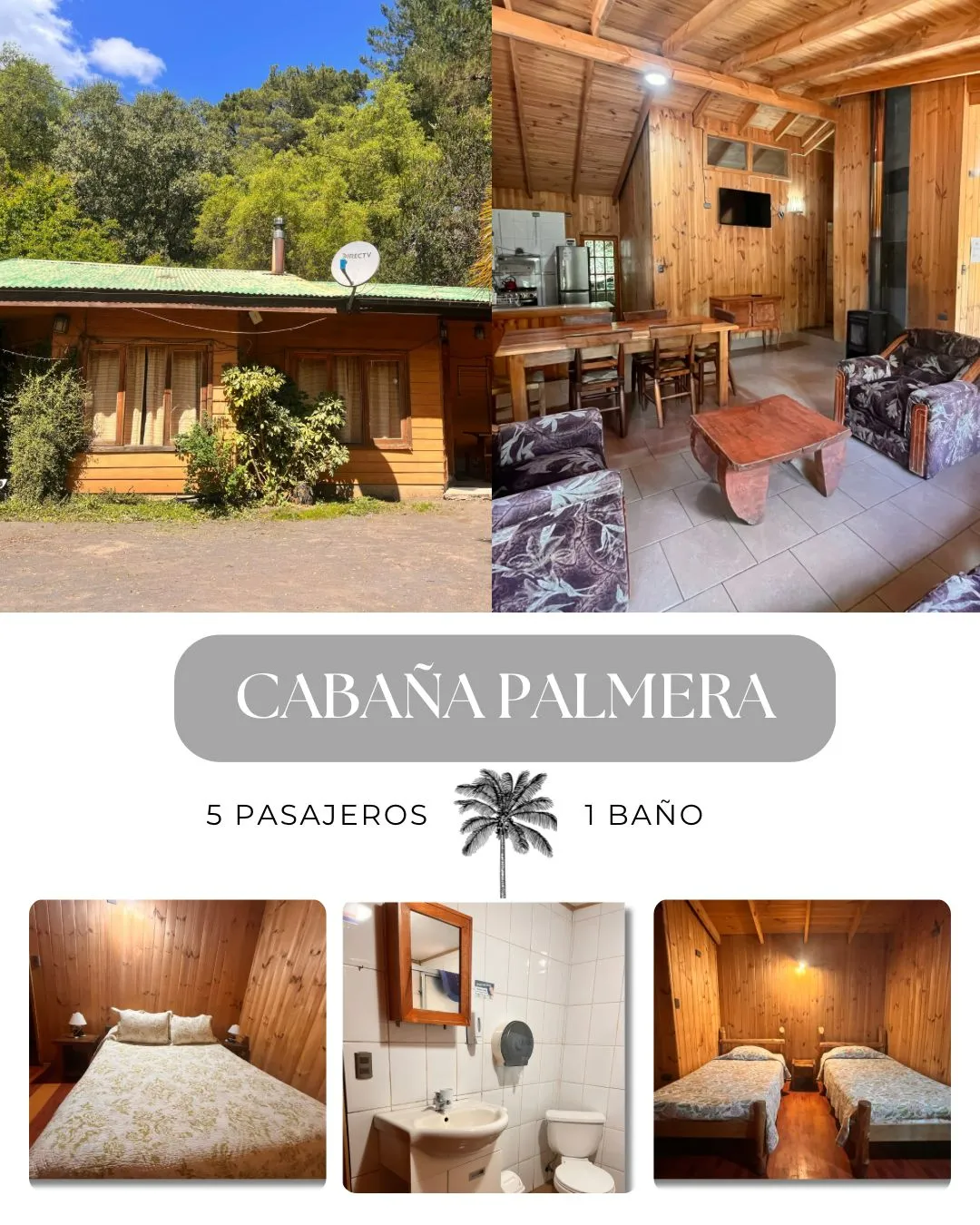 Cabaña Palmera exterior con techo verde y living-comedor equipado en Los Arcos