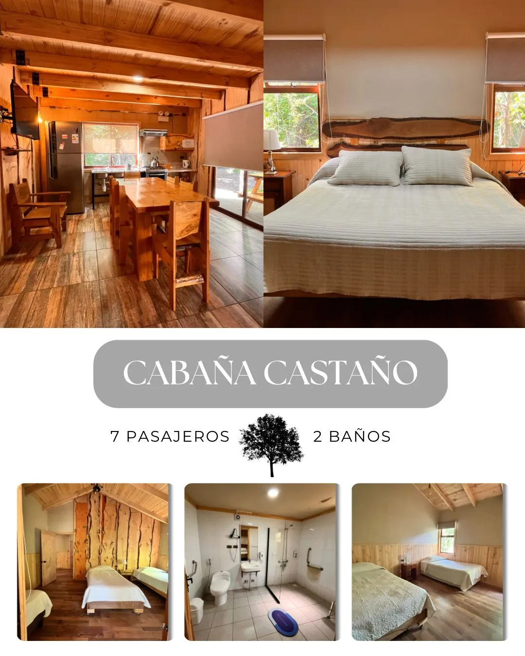 Cabaña Castaño interior moderno con cama queen, cocina y 2 baños adaptados