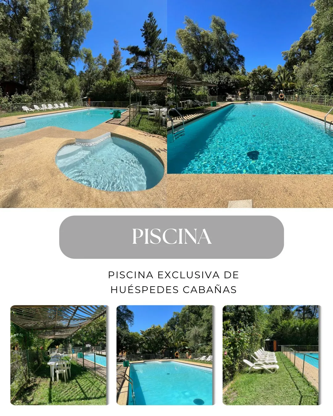 Vista general de Cabañas Los Arcos con piscina, jardines y árboles nativos